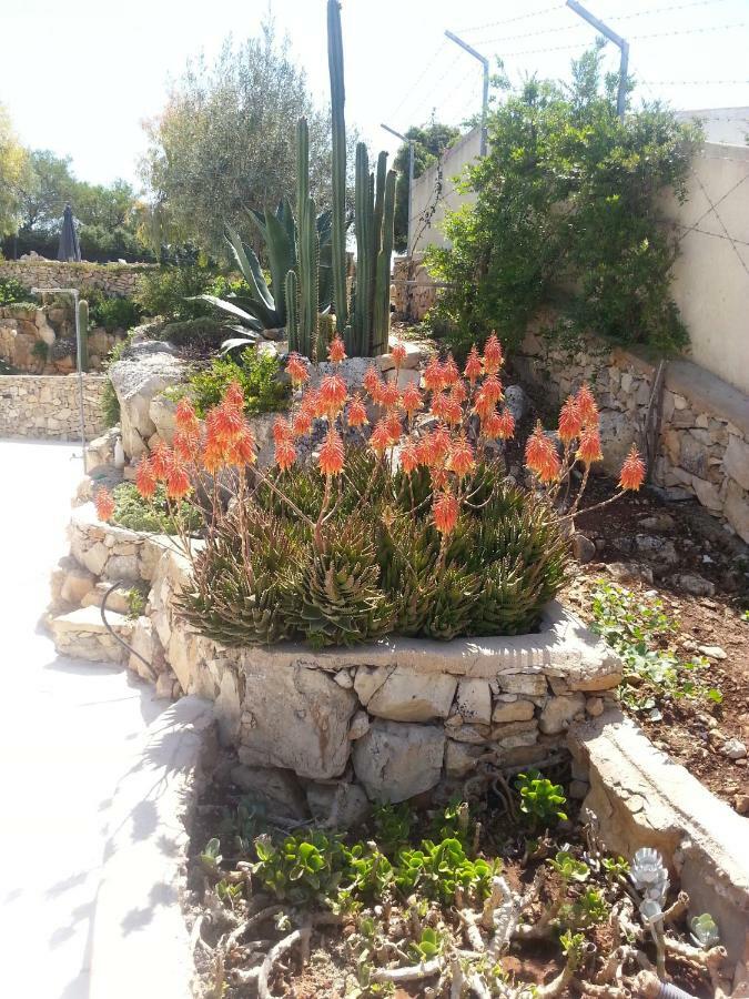 Villa Ca Del Mar Morciano di Leuca Buitenkant foto